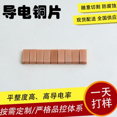 Bare Copper Short Thin Strip (100pcs)